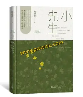 小先生小说文学PDF全格式电子书下载分享-泡玩网