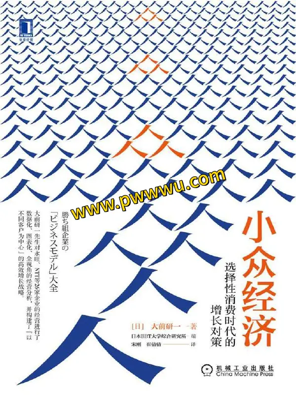 小众经济选择性消费时代增长对策分享