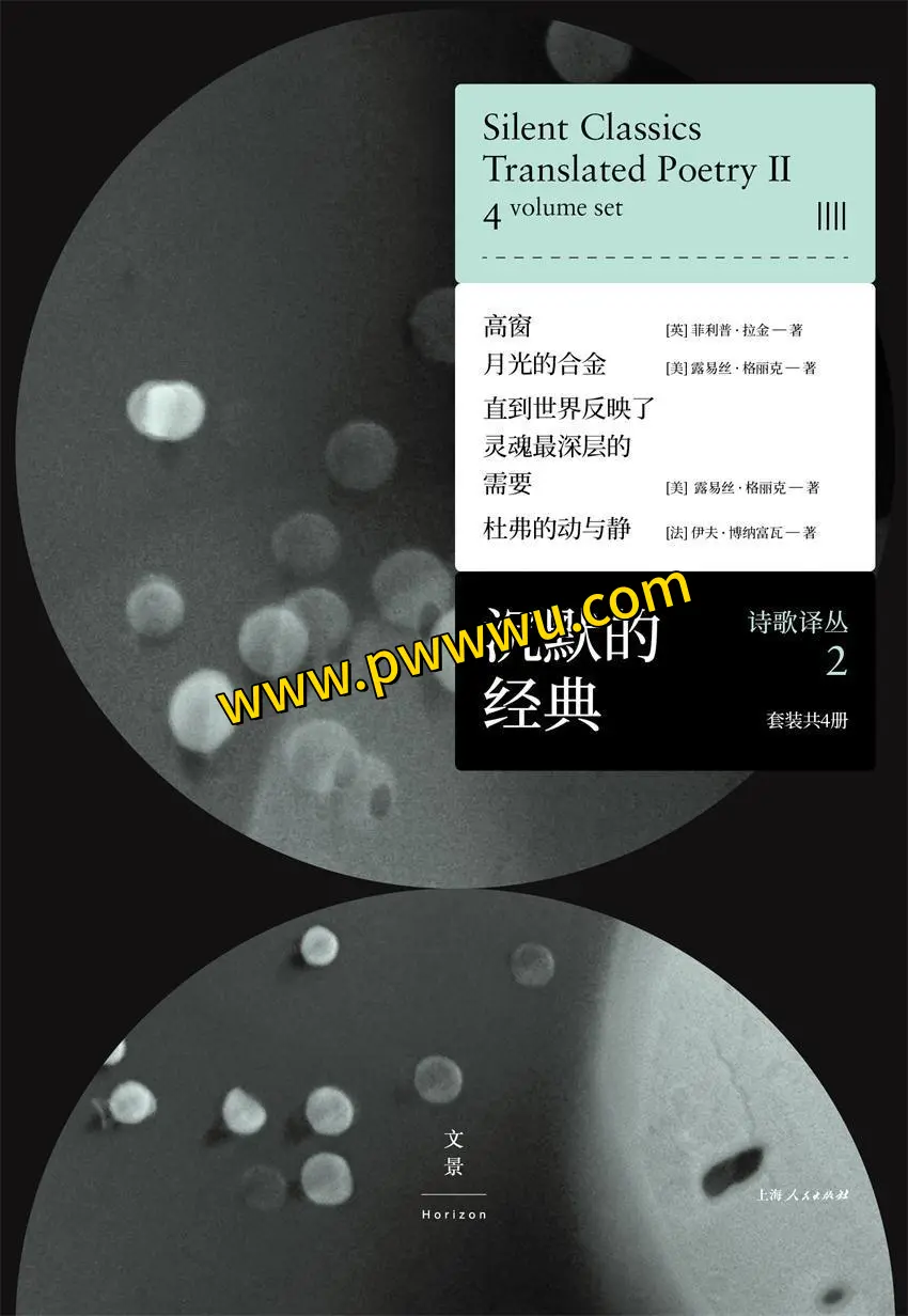 沉默的经典诗歌译丛2套装全4册电子版PDF分享-泡玩网