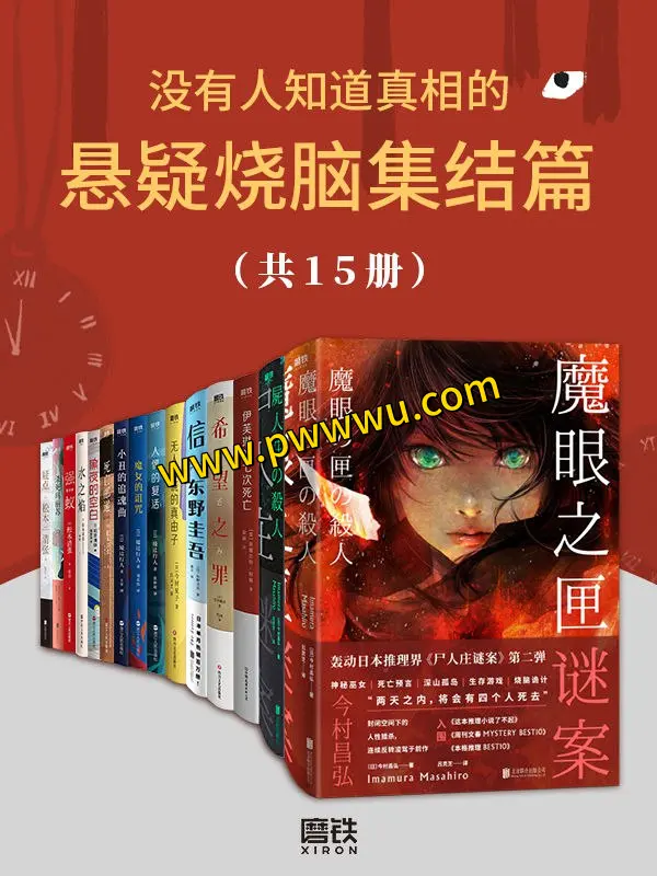 没有人知道真相的悬疑烧脑集结篇15册大合集电子书分享-泡玩网