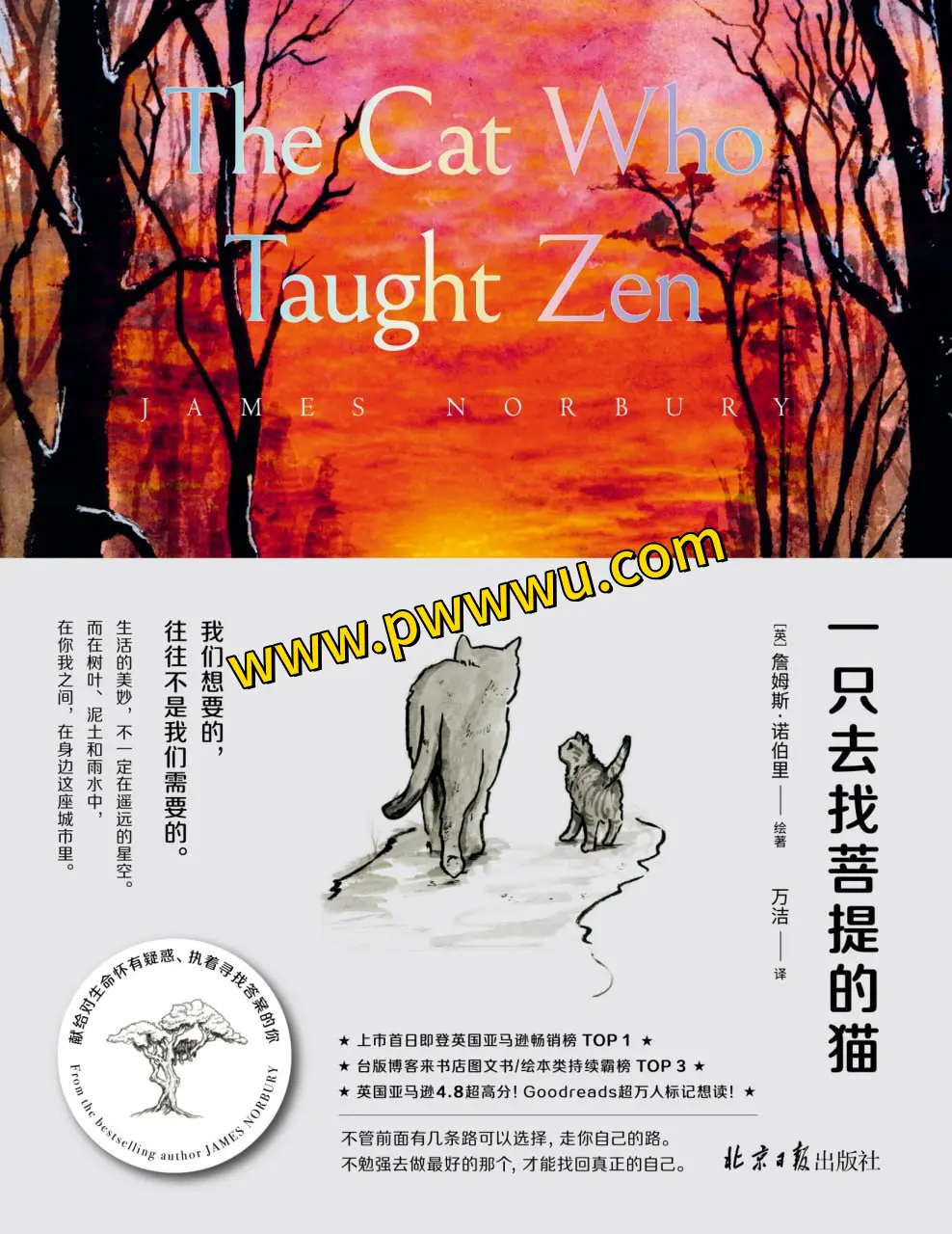 一只去找菩提的猫小说全文阅读下载分享