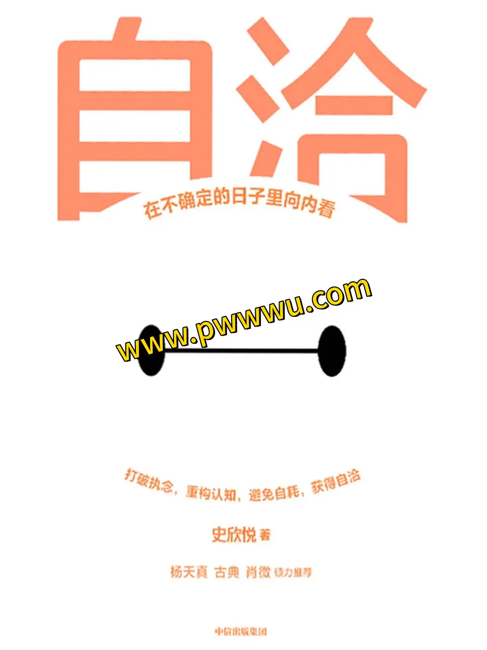 自洽在不确定的日子里向内看电子书PDF全格式下载