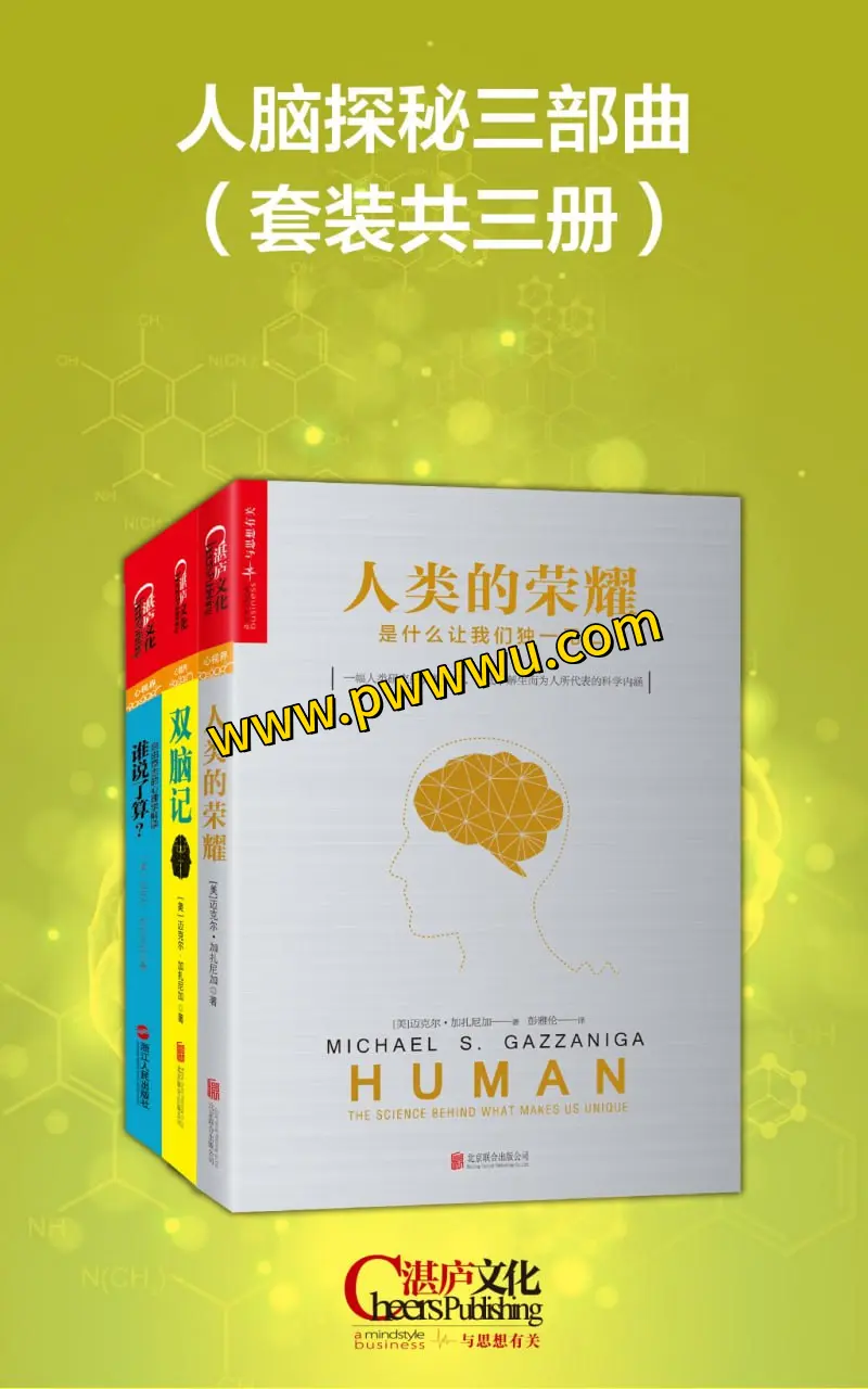 人脑探秘三部曲套装电子版下载-泡玩网