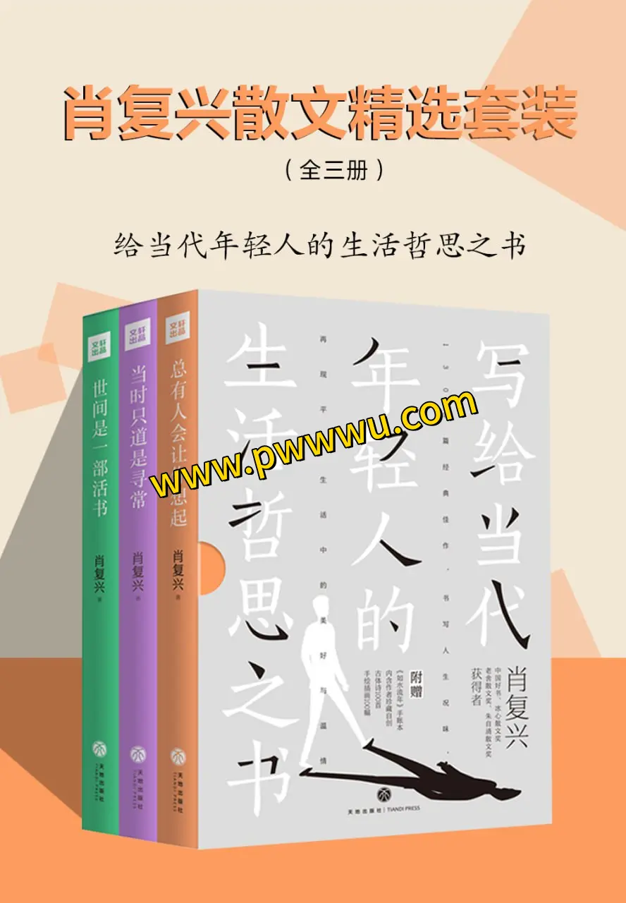 肖复兴散文精选套装全三册电子版下载