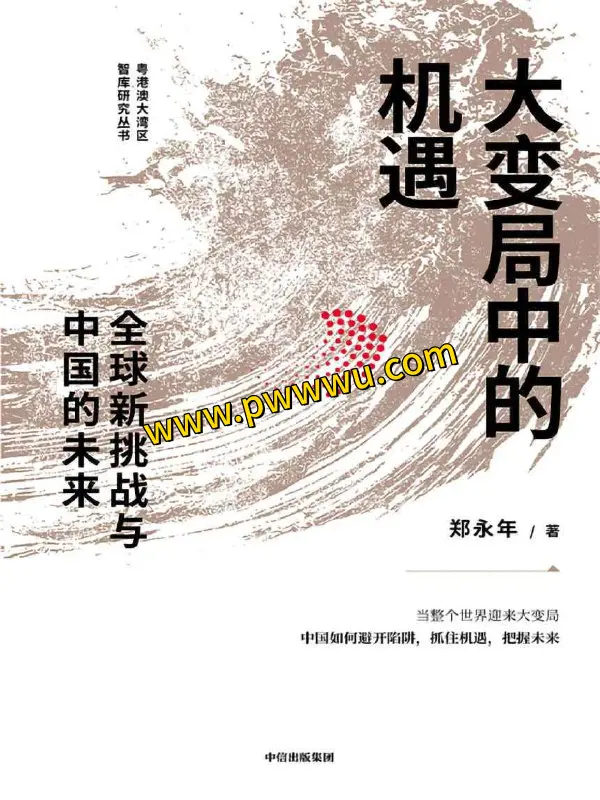 大变局中的机遇经济管理电子书PDF全格式分享-泡玩网