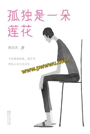 孤独是一朵莲花小说全文下载PDF及多种格式分享-泡玩网