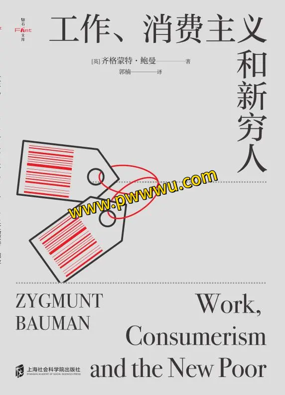 工作消费主义和新穷人电子书下载阅读-泡玩网