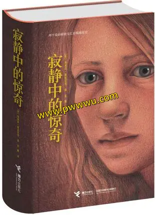 寂静中的惊奇小说电子版分享PDF全格式下载