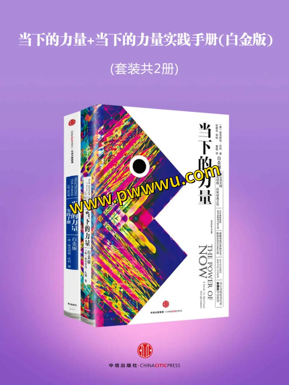 当下的力量白金版套装分享 当下的力量实践手册电子版下载
