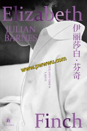 伊丽莎白·芬奇小说电子书分享