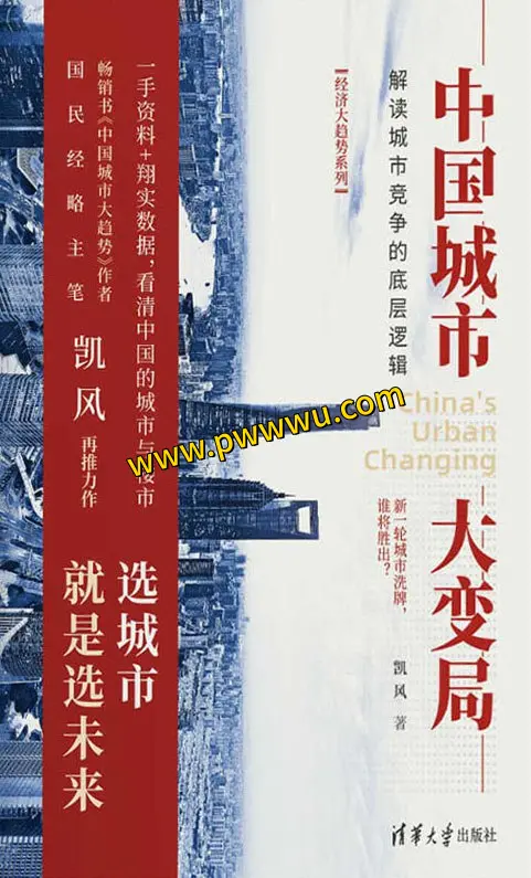 中国城市大变局PDF电子书下载全格式版本-泡玩网