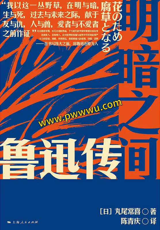 明暗之间鲁迅传电子书免费下载阅读-泡玩网