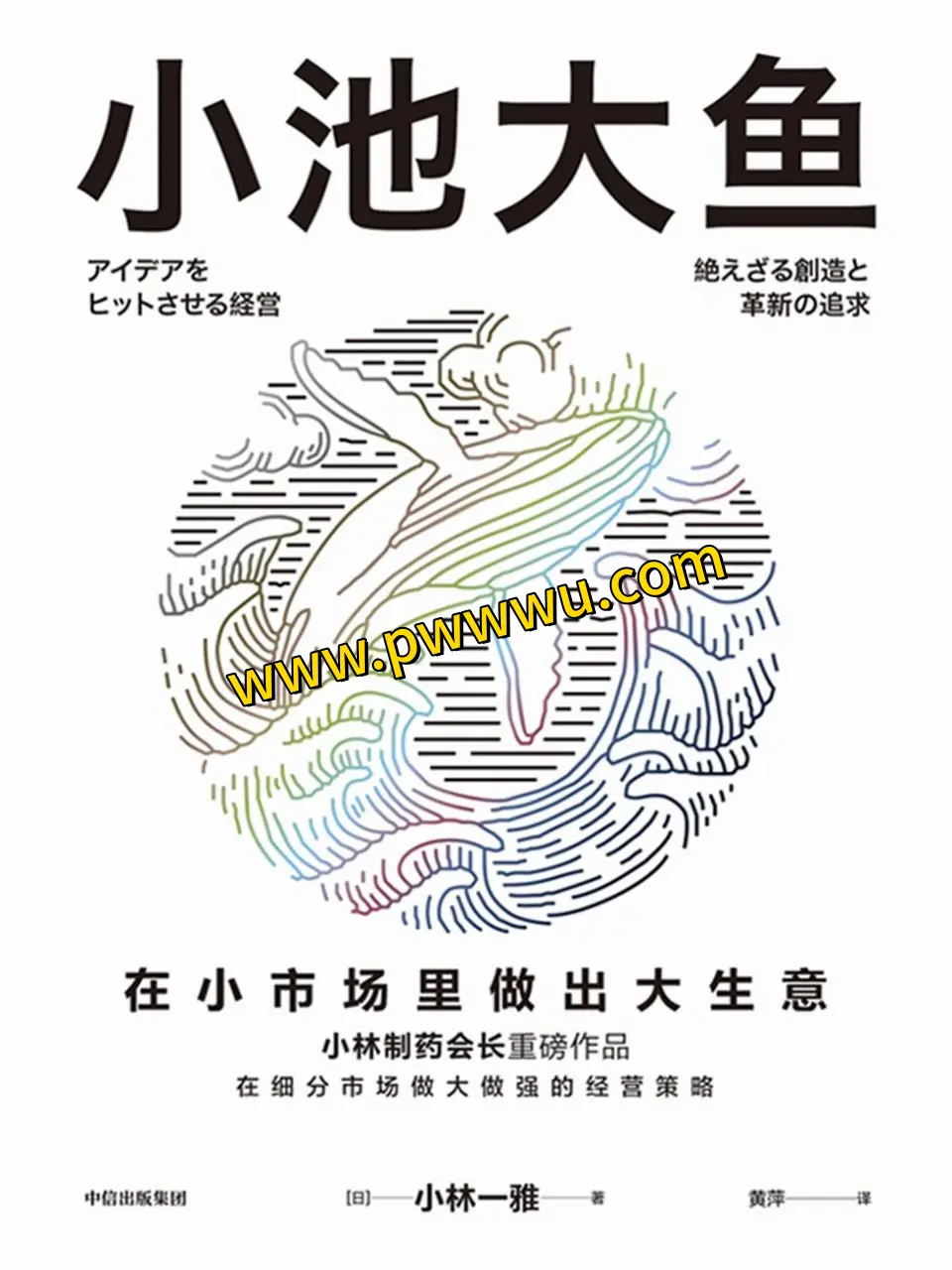 小池大鱼经济管理电子书PDF全格式分享-泡玩网