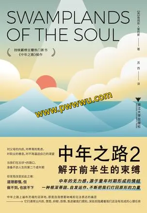 中年之路2电子书下载励志成功书籍PDF全格式分享