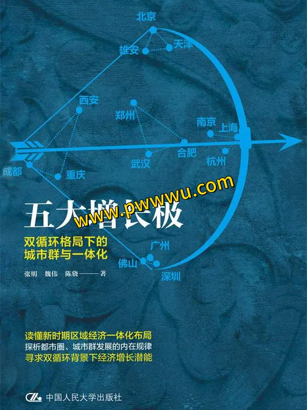 五大增长极双循环格局下的城市群与一体化经济管理图书分享