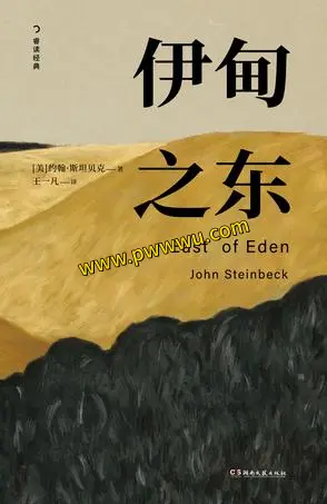 伊甸之东小说全文电子书下载pdf及多种格式